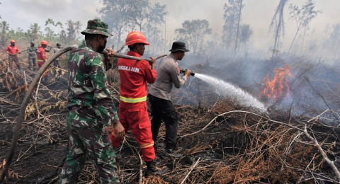 Kemarau Berkepanjangan, Bupati Tanjung Jabung Timur Larang Camat Tinggalkan Wilayah